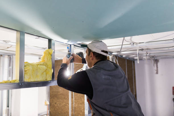 Best Cellulose Insulation  in Baldwin, NY