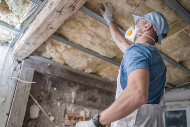 Best Insulation Replacement Services  in Baldwin, NY