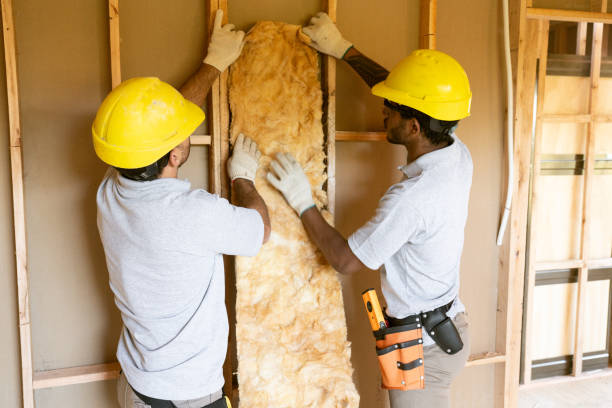 Best Insulation Replacement Services  in Baldwin, NY