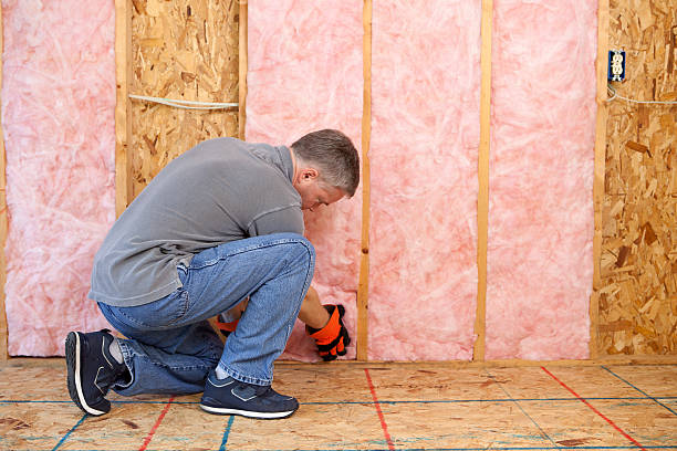 Best Cellulose Insulation  in Baldwin, NY