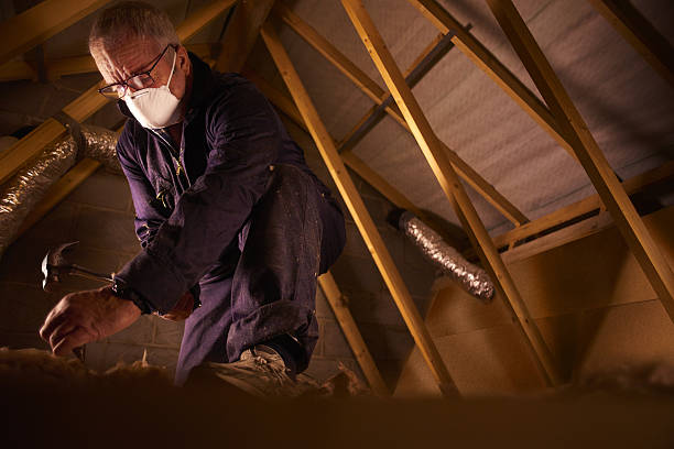 Best Insulation Removal Services  in Baldwin, NY